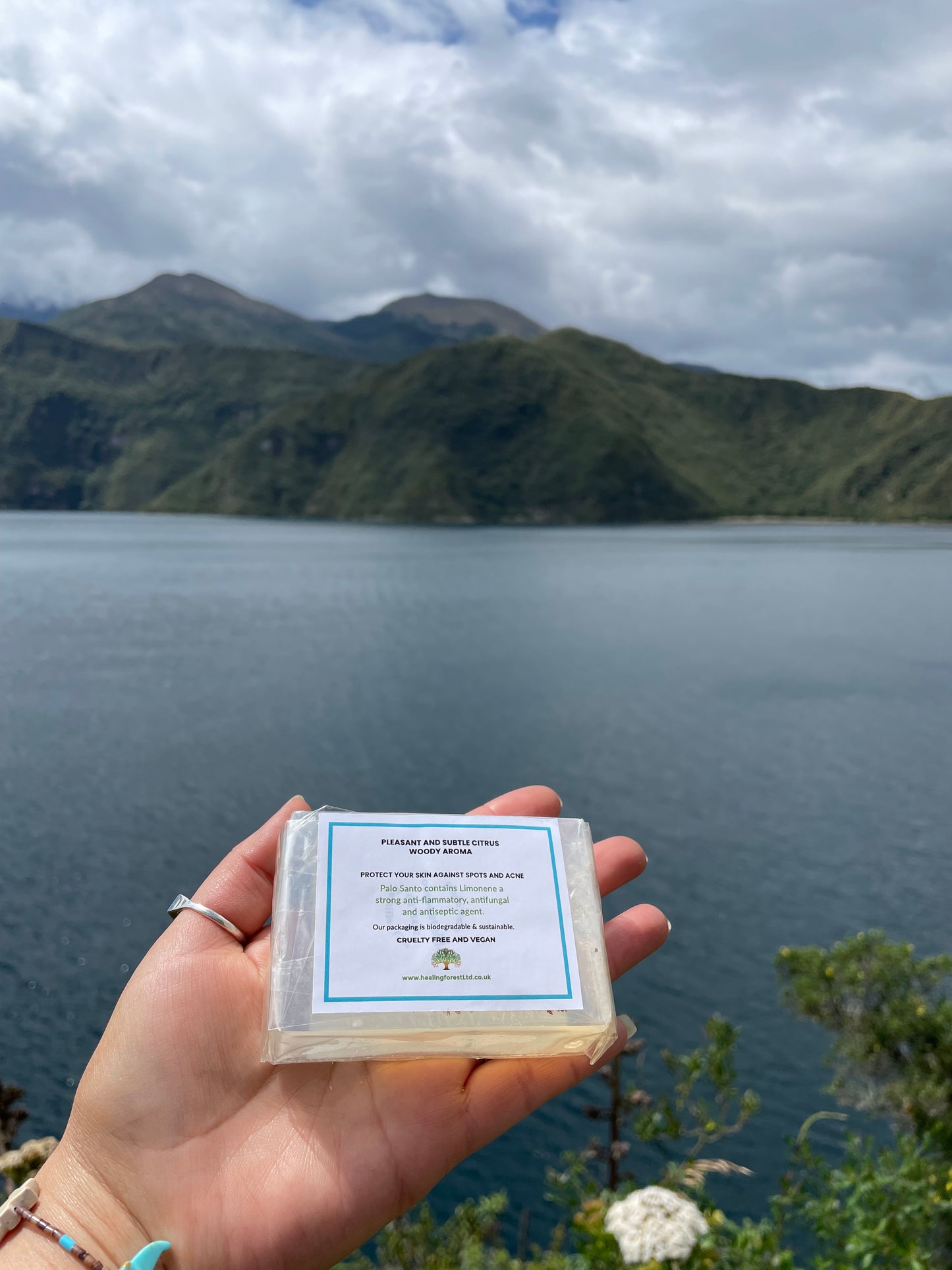 JABON PALO SANTO HEALING FOREST